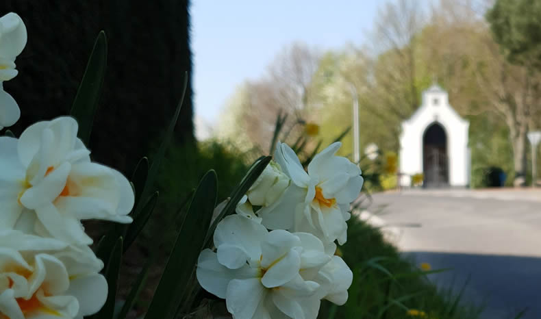 Der Sturm auf dem See – Ostergruß von unserem Präses André Kleinen